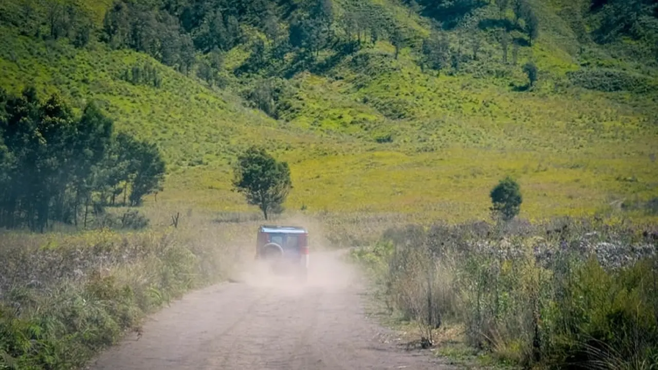 Ilustrasi road trip