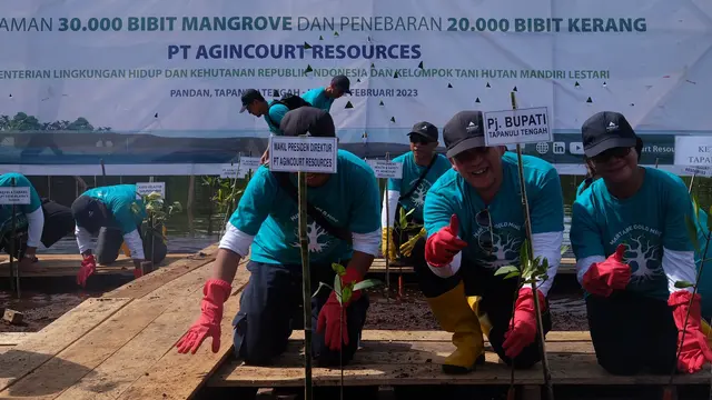 Tanam mangrove