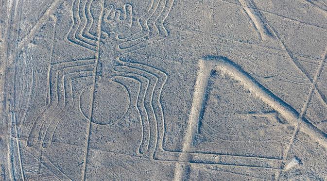 Image result for geoglif kuno berbentuk makhluk hidup