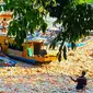 Ribuan bungkus mie instan mengambang di Sungai Siak setelah kapal karam di pelabuhan rakyat. (Liputan6.com/M Syukur)