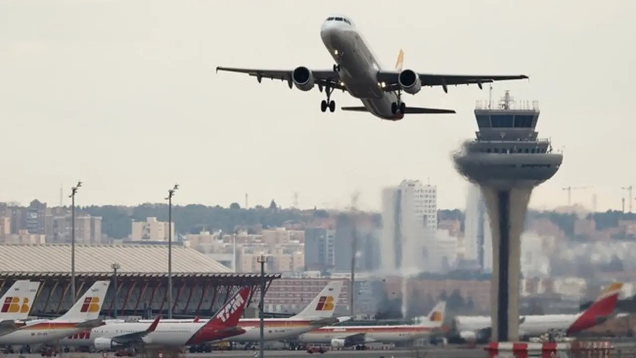Babi Hutan Bikin Penerbangan di Bandara Spanyol Tertunda