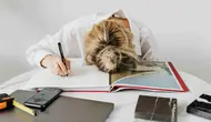 Alasan Otot Terasa Kaku Setelah Duduk Lama dan Cara Efektif Meredakannya
