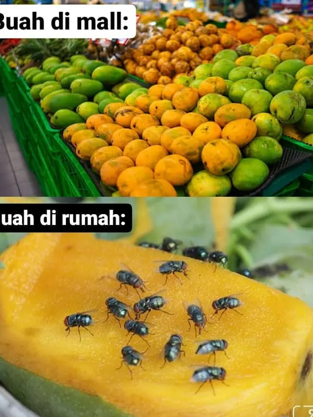 7 Meme Beda Buah Saat di Supermarket dengan di Rumah Ini Bikin Tepuk Jidat