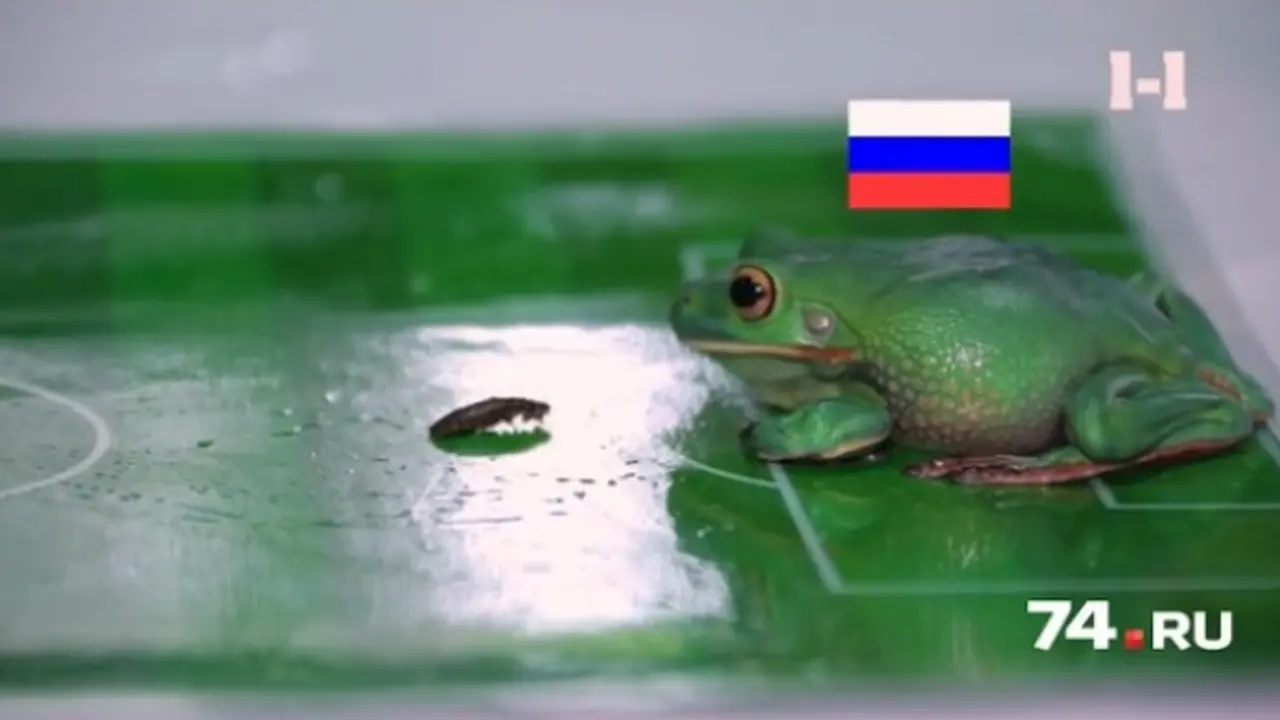 Katak Memprediksi Kemenangan Rusia di Pembukaan Euro 2016 