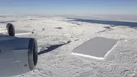 Operasi IceBridge dari NASA menangkap fenomena aneh, yakni gunung es berbentuk persegi panjang yang mengambang di antara lautan es di Semenanjung Antartika utara (Jeremy Harbeck / NASA)