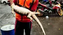 Petugas Dinas Kebersihan DKI menangkap seekor biawak yang terbawa banjir di kawasan Kemang, Jakarta Selatan, akibat luapan air Kali Krukut, Selasa (4/10). Setelah ditangkap, biawak itu dibawa ke kantor Kecamatan Mampang. (Liputan6.com/Gempur M Surya)