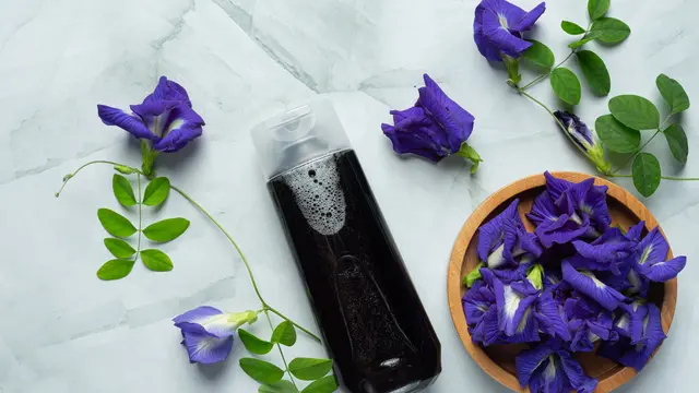 Manfaat Bunga Telang untuk Kesehatan, Kecantikan, hingga Teh Herbal