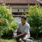 Kelengkeng Sudah Berbuah tapi Ukurannya Kecil? Coba Tips Perawatan Ini