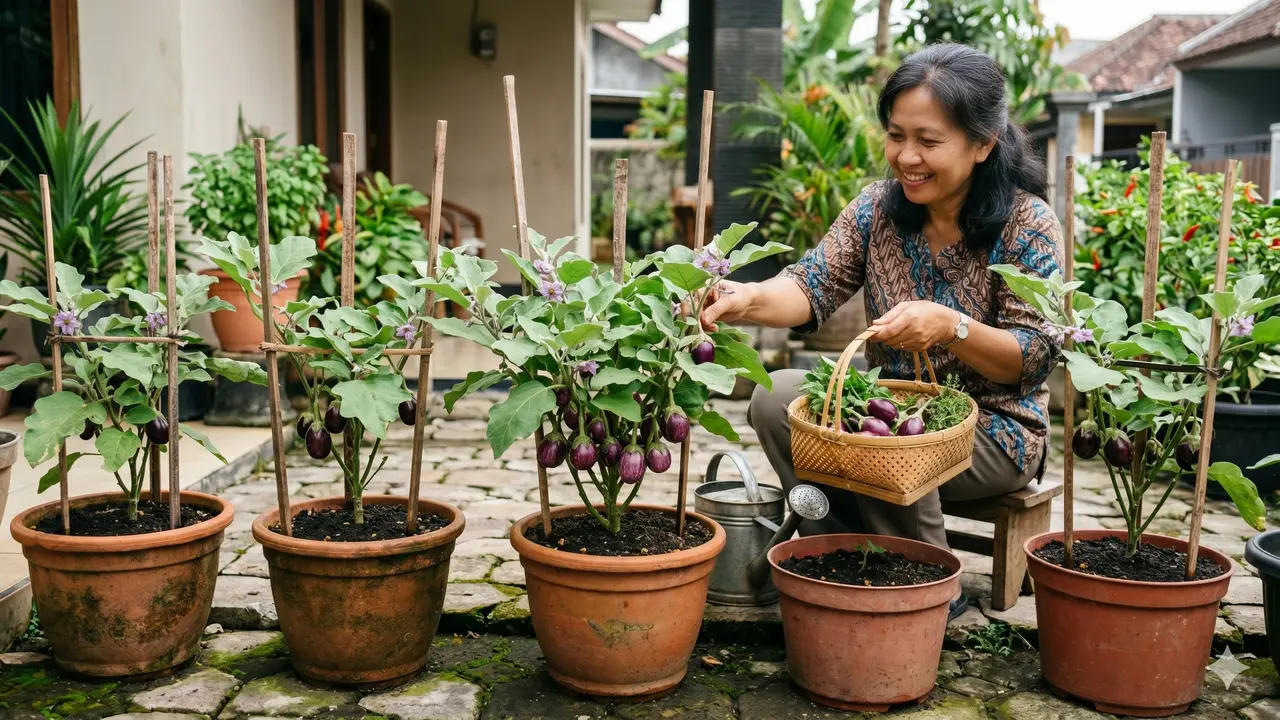 Ide Kebun Sayur dalam Pot Simpel (Foto: Gemini AI)