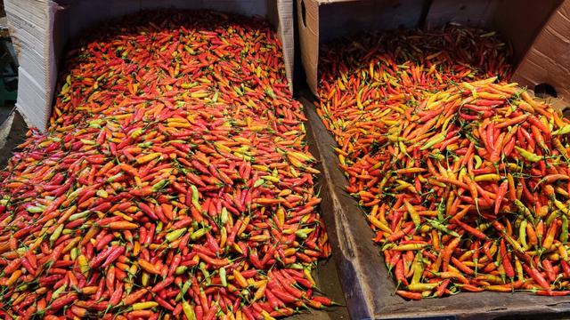 Satu hari menjelang penghujung 2022, pasokan cabai terpantau aman dan harga relatif terkendali.
