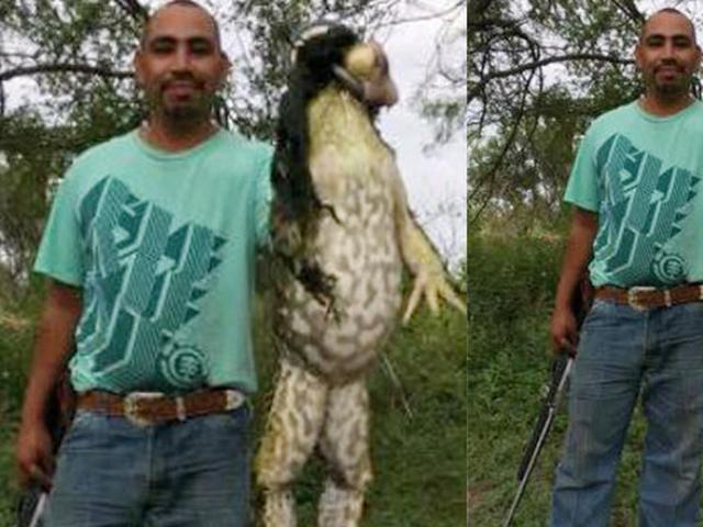 Terungkap Kisah Sebenarnya Di Balik Foto Kodok Raksasa Citizen6 Liputan6 Com