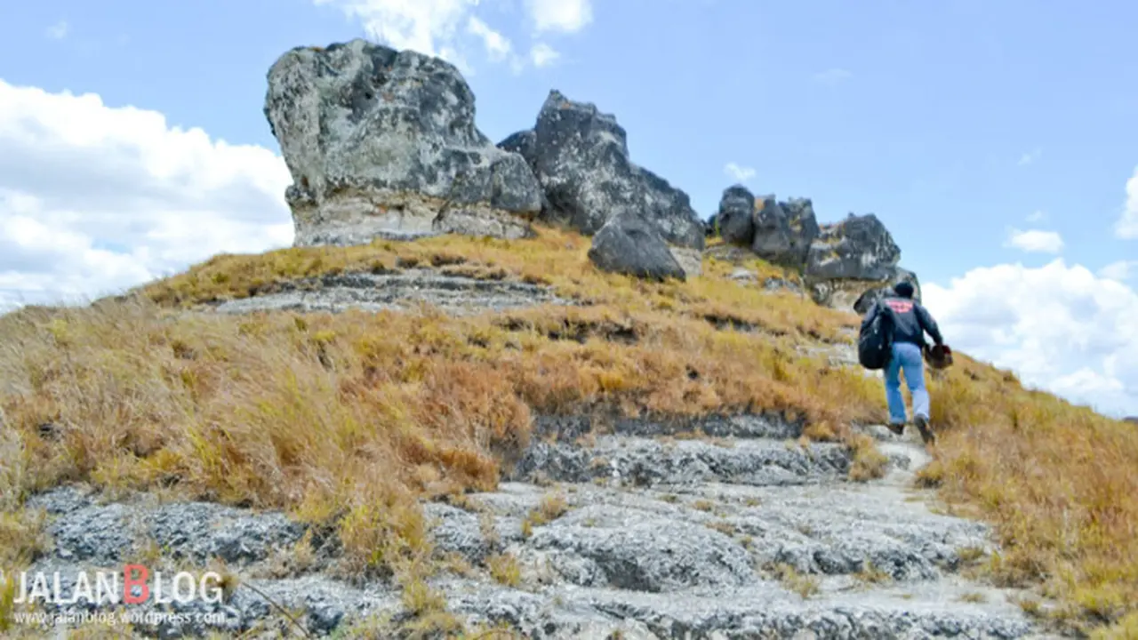 Menikmati Keindahan Bukit Tanarara Yang Memanjakan Mata