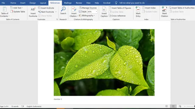 Cara membuat daftar gambar di Microsoft Word
