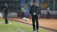 Djajang Nurdjaman saat melatih Persib Bandung pada Piala Presiden di stadion Utama Gelora ung Karno, Jakarta (18/10/2016). (Bola.com/Nicklas Hanoatubun)
