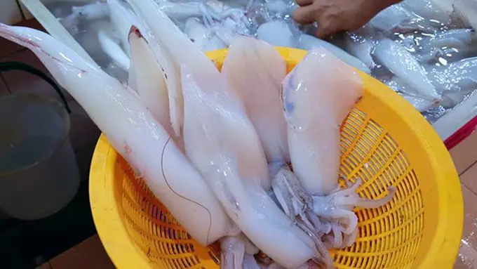 Tips memasak cumi./Copyright shutterstock.com