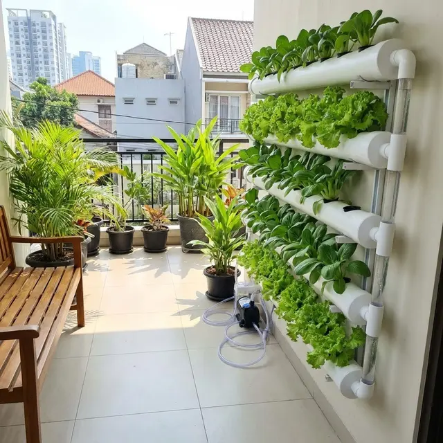 Desain Balkon Rumah yang Bisa Jadi Kebun Sayur Mini