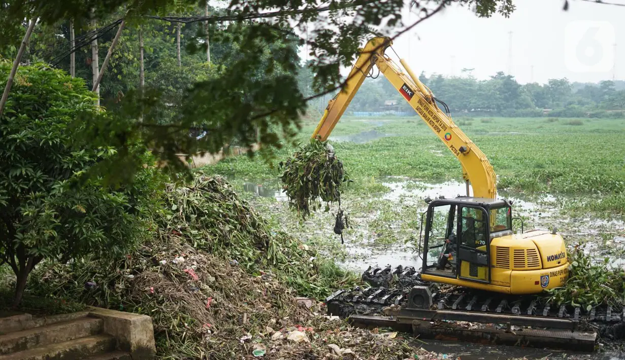 Petugas menggunakan alat berat untuk mengeruk eceng gondok yang memenuhi permukaan Setu Pengarengan, Depok, Jawa Barat, Senin (16/12/2019). Pengerukan dilakukan untuk membersihkan Setu Pengarengan dari eceng gondok yang tumbuh selama kurang lebih satu tahun terakhir. (Liputan6.com/Immanuel Antonius)