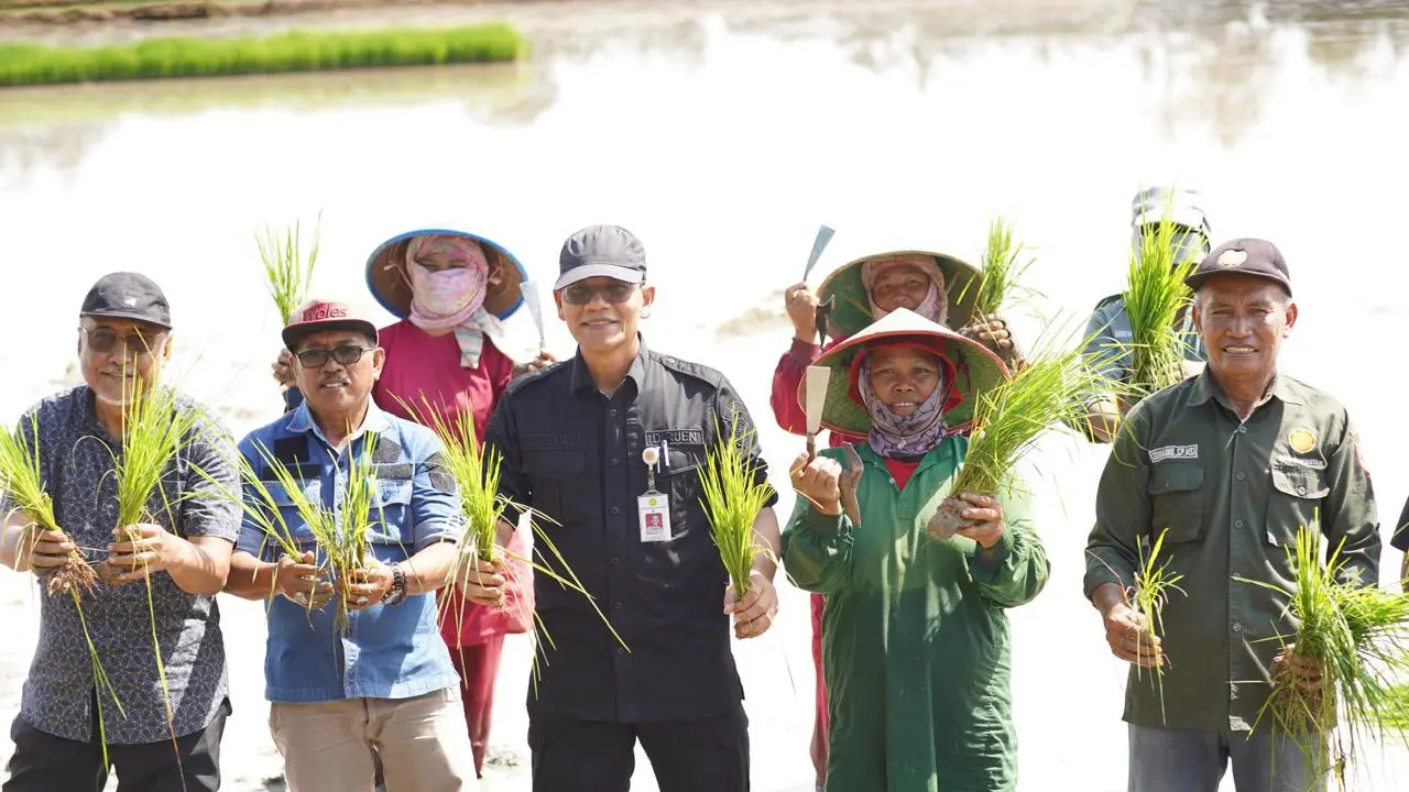 Percepatan Tanam dan Antisipasi Banjir di Banyuasin, Kementan Optimasi Lahan Rawa Mineral