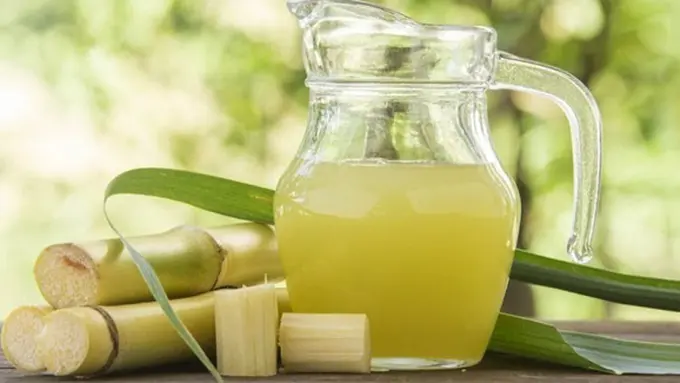 Photo: Copyright squapl.com