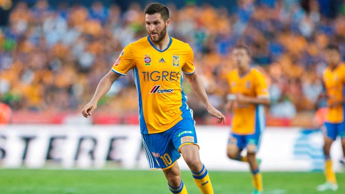 Andre Pierre Gignac (AFP/Julio Cesar Aguilar)