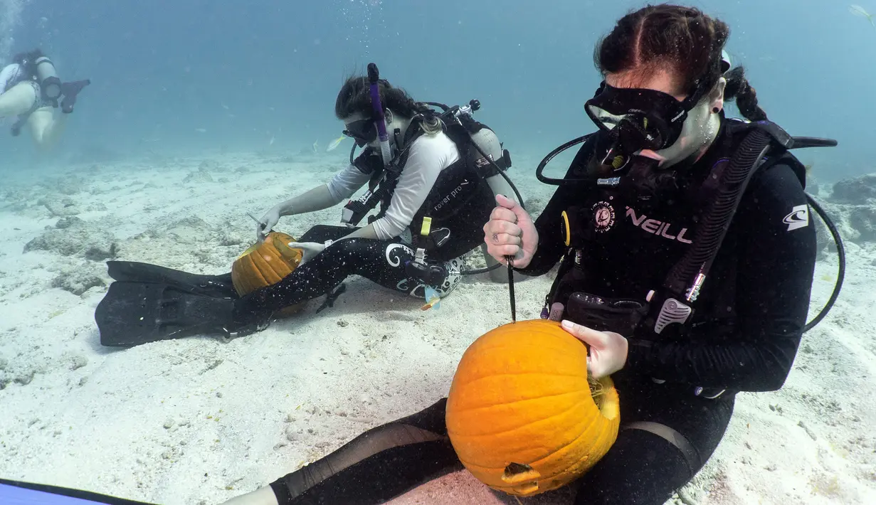 Dua penyelam sedang mengukir labu saat ambil bagian dalam Kontes Mengukir Labu Bawah Air di Florida Keys, Florida, Minggu (14/10). Dengan 1 labu dan satu pisau, kontestan harus membuat mimik Jack-o-Lantern terbaik. (Frazier Nivens/various sources/AFP)