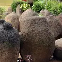 Survei Pohon Durian Berujung Hilangnya Batu Bersejarah Era Medang di Jember