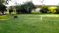 Cara ‘Pintar’ Gunakan Mesin Pemotong Rumput 