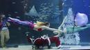 Penyelam mengenakan pakaian Sinterklas dan putri duyung saat beraksi di Coex Aquarium di Kota Seoul, Korea Selatan (4/12/2019). Natal menjadi salah satu hari libur nasional yang paling dinanti di Korea Selatan. (AP Photo/Ahn Young-joon)