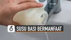Susu basi akan berubah rasa jadi asam. Jangan buru-buru membuangnya, bisa digunakan untuk banyak hal.