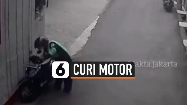 CURI MOTOR