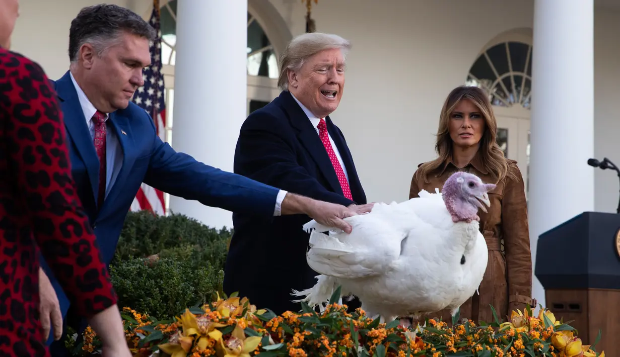Ibu Negara Melania Trump menyaksikan Presiden Donald Trump memberikan pengampunan kepada kalkun dalam upacara Thanksgiving nasional di Rose Garden Gedung Putih, Selasa (26/11/2019). Ini merupakan tradisi tahunan yang diadakan di Gedung Putih sehari sebelum perayaan Hari Thanksgiving. (AP/Evan Vucci)