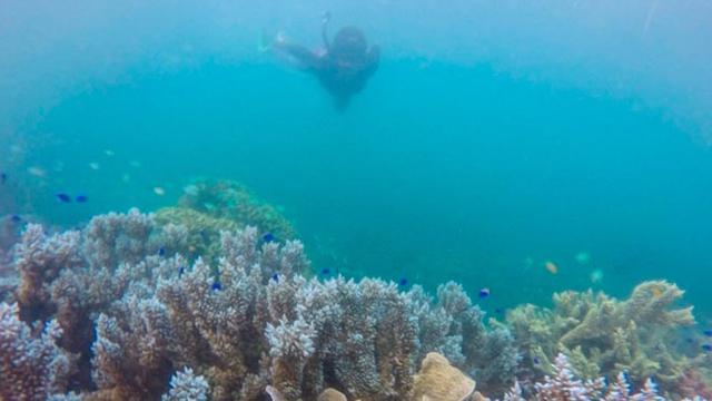 Menpar Arief Yahya: Lembata Harus Perkuat 3A