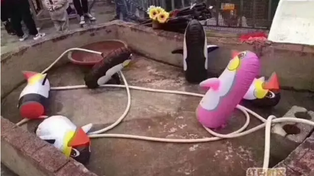 Kebun binatang baru di Tiongkok