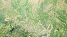 Foto dari udara yang diabadikan pada 29 Juni 2020 ini menunjukkan pemandangan sawah terasering di Xinmin, Kota Panzhou, Provinsi Guizhou, China barat daya. (Xinhua/Tao Liang)