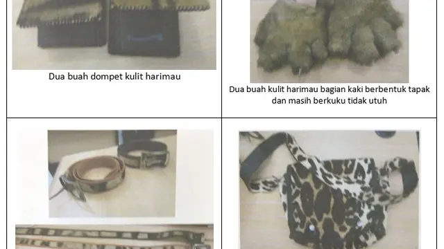 Pedagang Sate Ketahuan Jual Tas Macan hingga Kuku Beruang