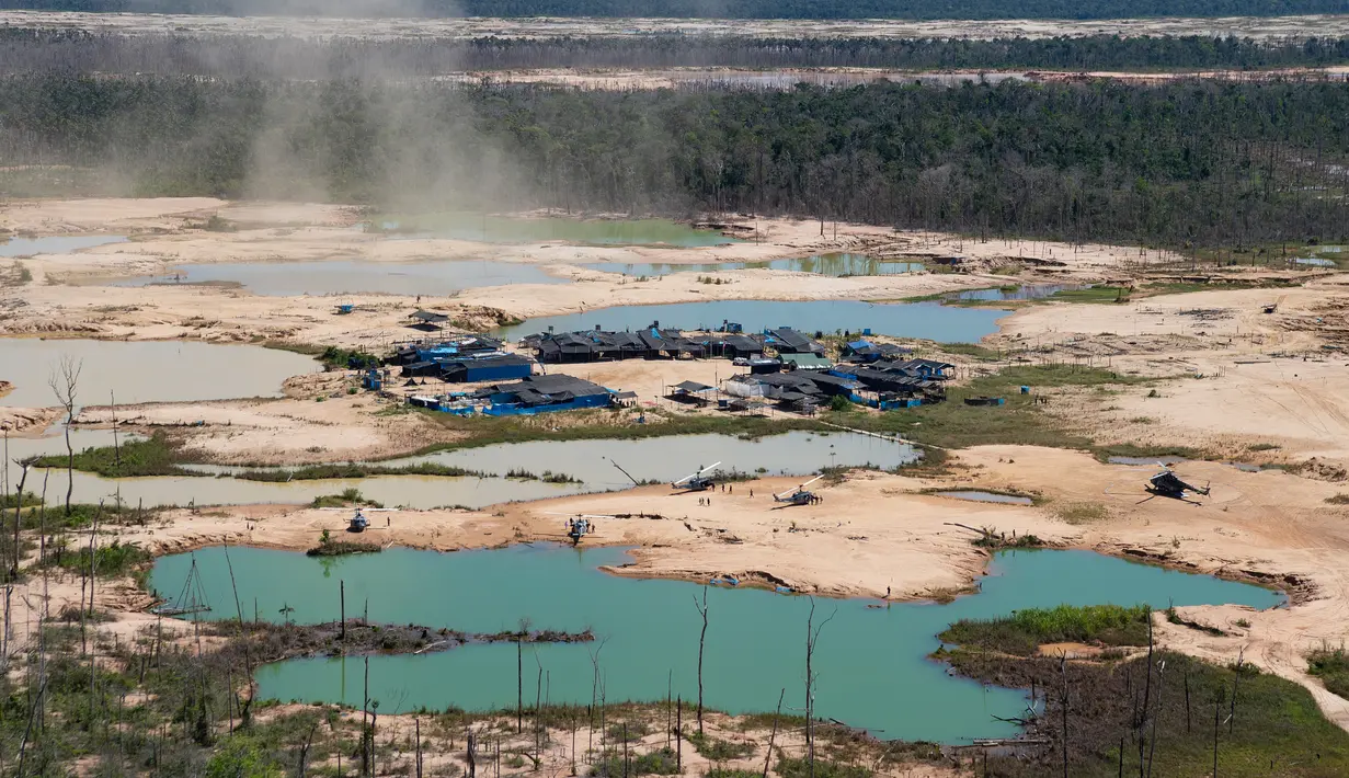 Pandangan udara kawasan Hutan Amazon yang terdeforestasi (penurunan luas area hutan secara kualitas dan kuantitas) di wilayah Sungai Madre de Dios, Peru, Jumat (17/5/2019). Penambangan ilegal mengubah Hutan Amazon menjadi gurun yang dipenuhi pohon-pohon mati dan kolam beracun. (CRIS BOURONCLE/AFP)