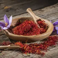 Ilustrasi Bunga Saffron/copyright shutterstock
