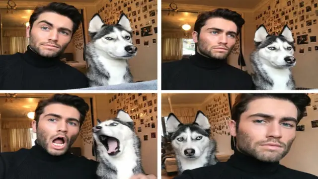 Anjing yang mirip dengan hewan peliharaannya.