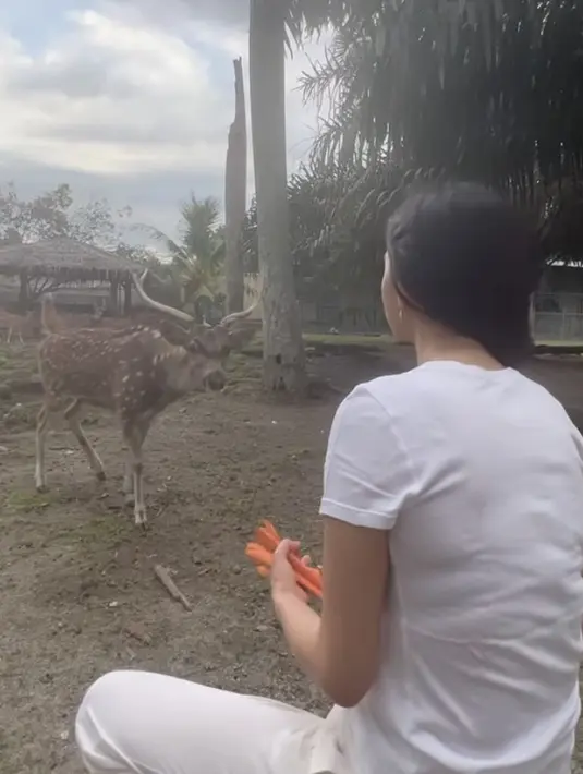 Saat pulang kampung, Raline yang mengenakan pakaian serba putih terlihat sedang memberikan wortel ke rusa yang nampak berada di belakang rumahnya. (@ralineshah)