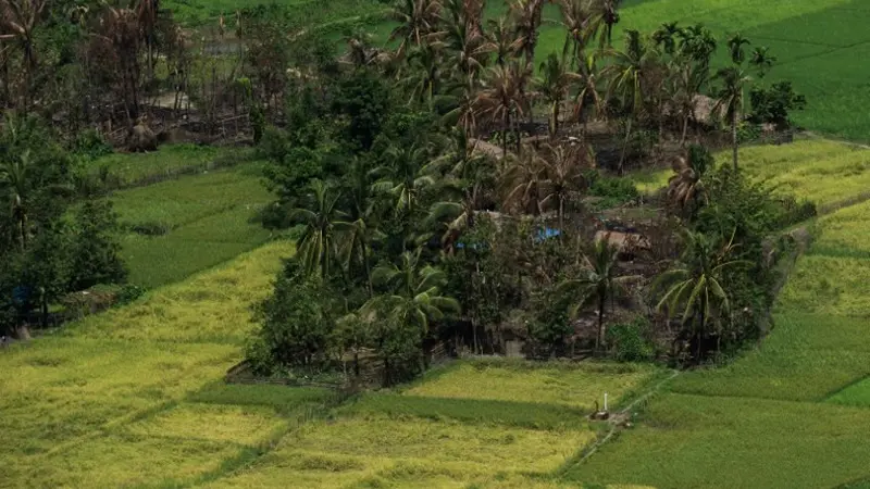 Tutupi Barang Bukti, Myanmar Diduga Buldozer Kuburan Massal Rohingya