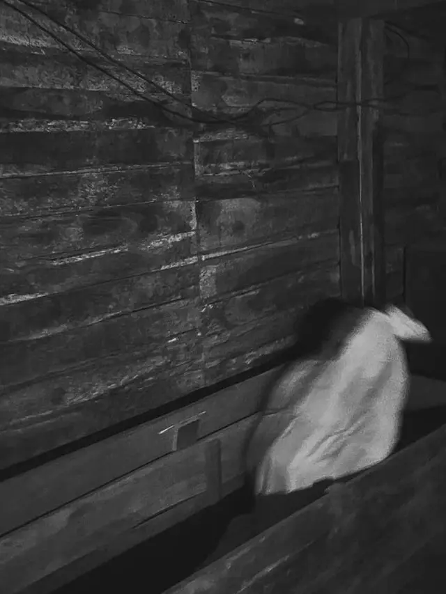 Zaskia Adya Mecca liburan bareng keluarga (Instagram/zaskiaadyamecca)