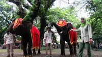 KBS mengajak masyarakat untuk mencintai dan melestarikan gajah Sumatera yang keberadaaannya mulai terancam melalui acara Story of the Gentle Giant. (Liputan6.com/Dian Kurniawan)