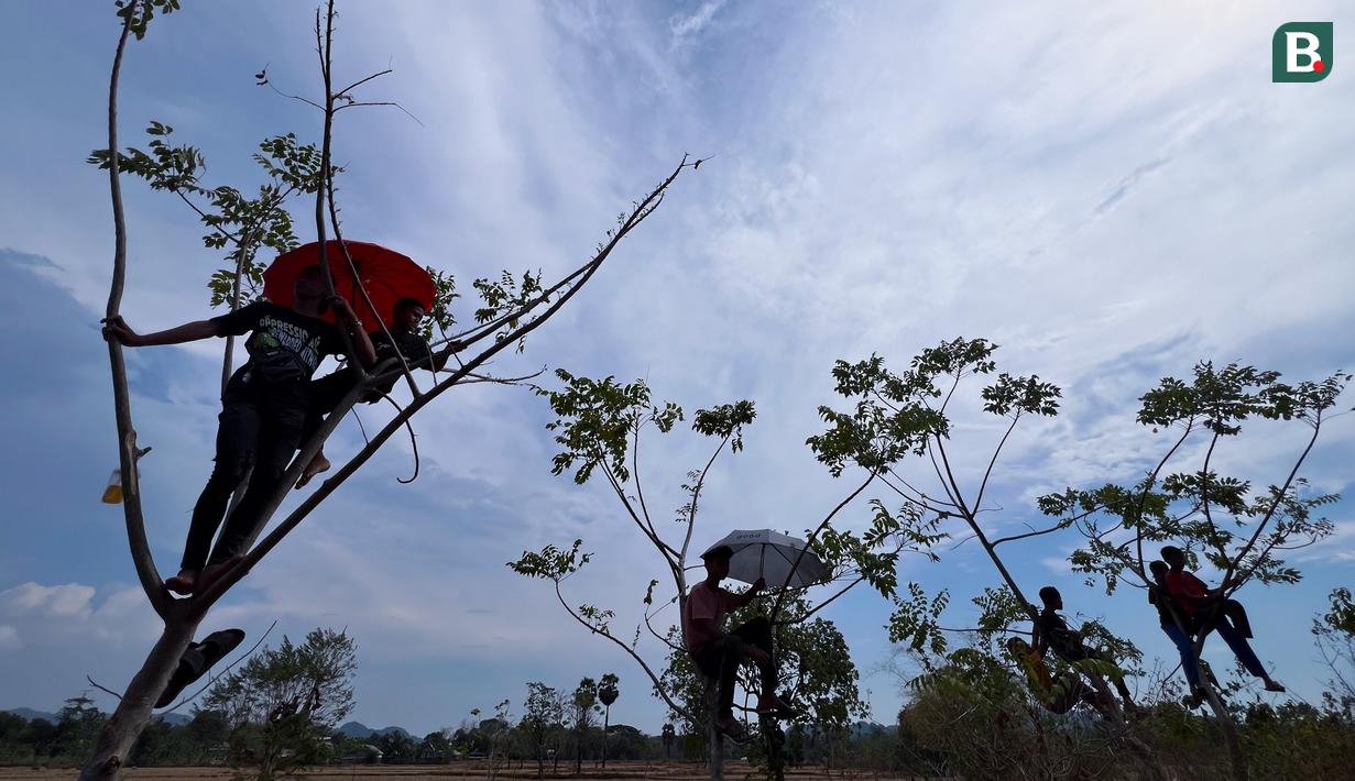 Bahkan yang menarik ada warga yang nekat memanjat pohon demi menonton balapan tersebut agar mendapatkan sudut pandang yang lebih jelas saat melihat aksi pembalap di Yamaha Cup Race 2024 itu. (Bola.com/M Iqbal Ichsan)