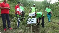 Sering Banjir Bandang, Gunung Budheg Ditanami Jambu Monyet