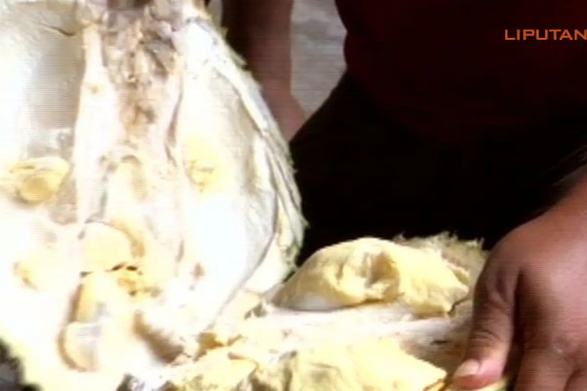 ahok-durian-140221b.jpg