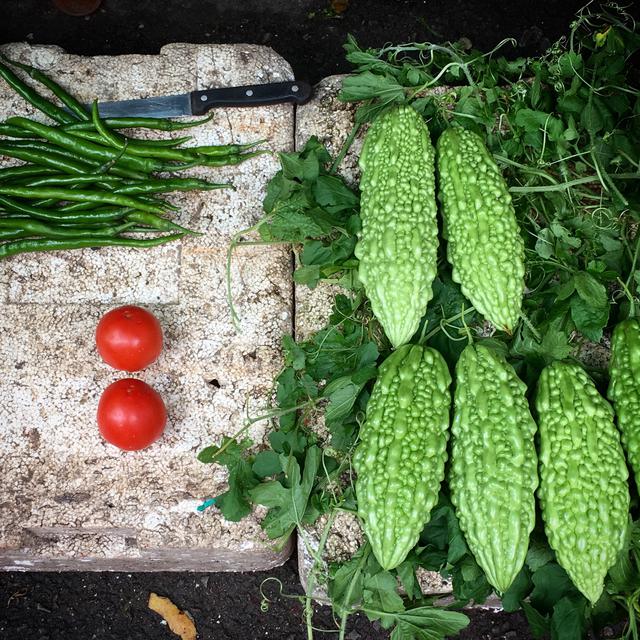 10 Manfaat Pare Untuk Kesehatan Menurunkan Kolesterol Dan Baik Bagi Ibu Hamil Ragam Bola 