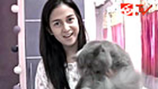 liputan6