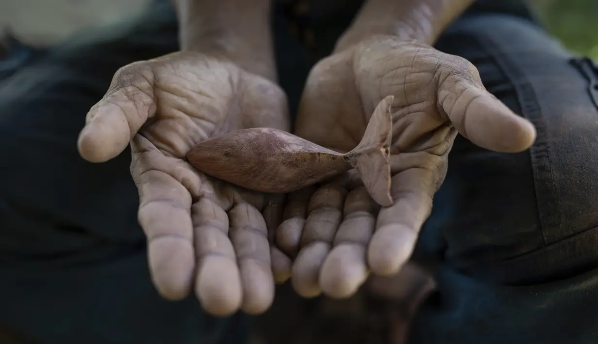 Paus juga menjadi sumber inspirasi bagi Medardo Machuca, seorang pengrajin dari suku Embera, yang telah membuat ukiran kayu paus selama dua dekade terakhir, dan menjualnya kepada para wisatawan. (AP Photo/Ivan Valencia)