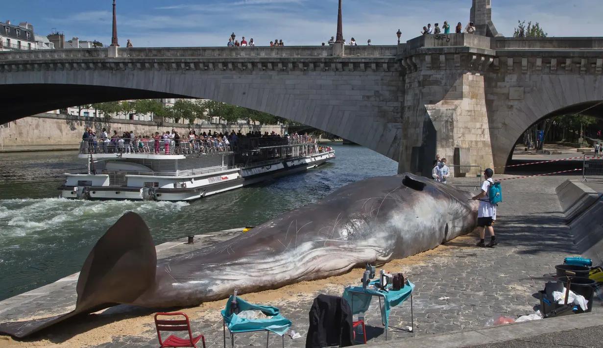 Sejumlah Warga melihat patung ikan paus berkuruan besar di sepanjang Sungai Seine di Paris, Prancis, (21/7). Kehadiran paus besar ini menjadi pusat perhatian turis dan warga Paris. (AP Photo / Michel Euler)