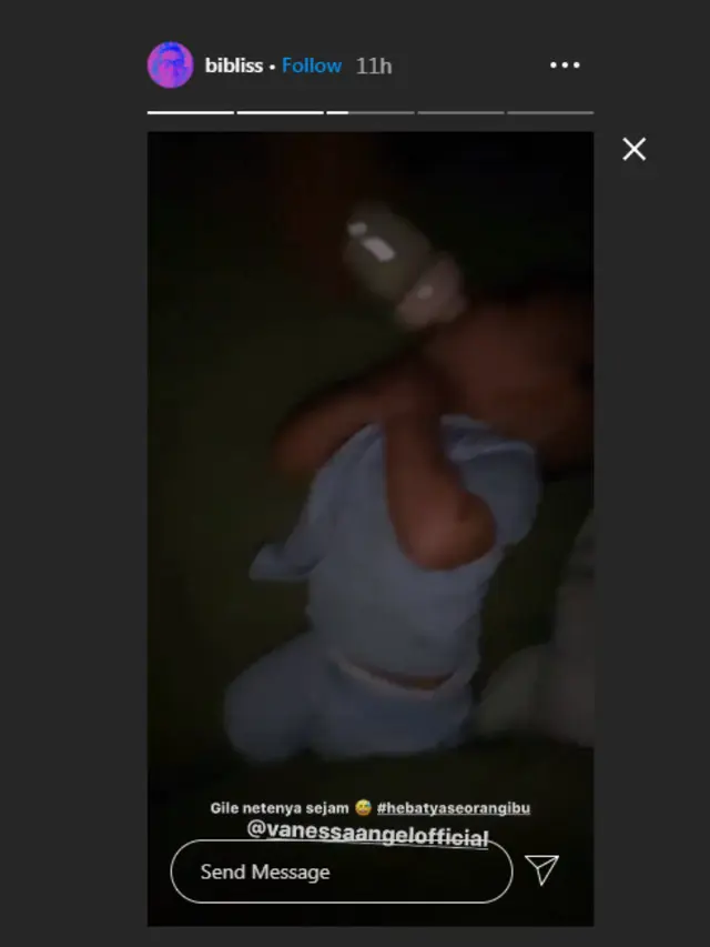 Bibi Ardiansyah kewalahan urus anak tanpa Vanessa Angel